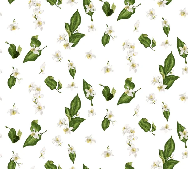 Citrus branches seamless pattern with flowers and leaves. Flower — Stock Vector