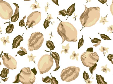 Limon meyve ve narenciye çiçek açan flo ile sepya seamless modeli