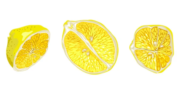 Diset dengan bagian buah lemon dalam bentuk yang berbeda - Stok Vektor