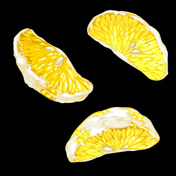 Frisse citrus citroen, limoen, sinaasappel of Mandarijn segmenten set — Stockvector