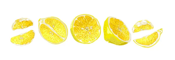 Set dalam garis horisontal dengan buah-buahan setengah dan irisan lemon - Stok Vektor