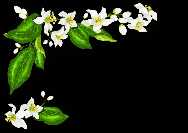Marco para postal con ramas de cítricos limón floreciendo fruta — Vector de stock