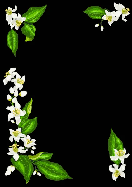Marco para postal con cuatro ramas de limón cítrico floreciendo f — Vector de stock