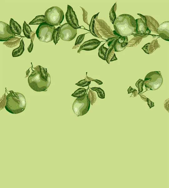 Modèle sans couture avec des branches de citron et de citron vert. Graphique vintage i — Image vectorielle