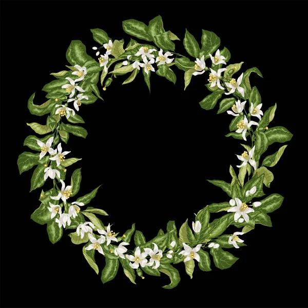 Corona de línea de rama de cítricos con flores en flor y frutas diminutas — Vector de stock