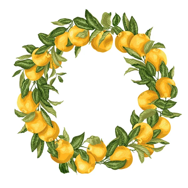 Citrus orange tree ornament wreath with fruits and leaves on the — Stock Vector