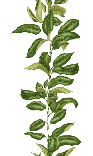 Απρόσκοπτη Κατακόρυφος Γραμμή Εσπεριδοειδών Υποκατάστημα Φυτό Φύλλα Έντονο Πράσινο Χρώμα — Διανυσματικό Αρχείο