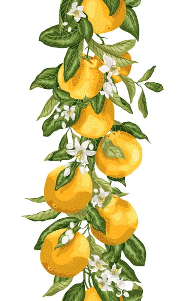 Ligne verticale sans couture avec branches d'oranger, fruits — Image vectorielle