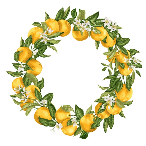 Στεφάνι στολίδι εσπεριδοειδή πορτοκαλιά με φρούτα, λουλούδια και αποχώρησής — Διανυσματικό Αρχείο