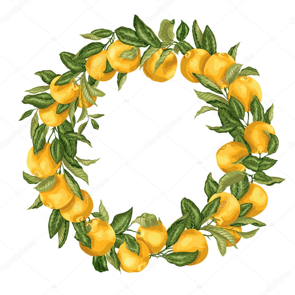 Citrus orange tree ornament wreath with fruits and leaves on the