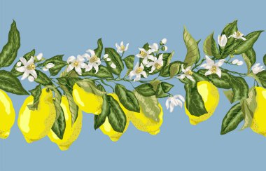 Vektör grafiği çiçeklenme ile Seamless Modeli yatay çizgi