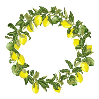 Vektör grafik içinde ile dalları meyveleri ve le narenciye çelenk