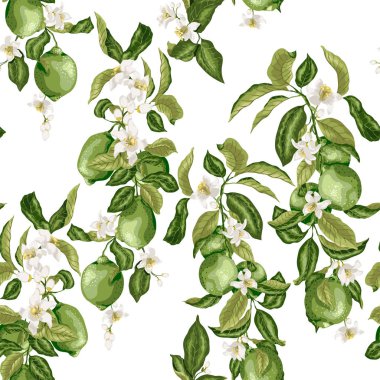 Citrus Seamless Vector Pattern