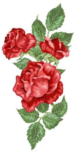 バラの植物の花と葉のベクトル装飾要素 — ストックベクタ