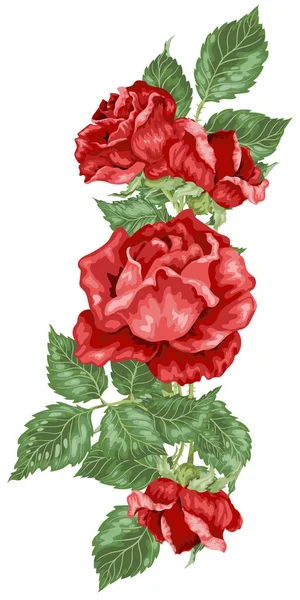 Elemento Decorativo Vettoriale Con Fiori Foglie Piante Rosa — Vettoriale Stock