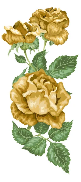 Rosa Dorata Elemento Decoratiove Illustrazione Vettoriale — Vettoriale Stock