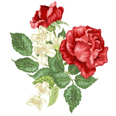 Yasemin ve gül çiçekleriyle vektör grafik illüstrasyonunda dekor ögesi