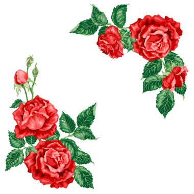 Gül çiçekleri ve tomurcukları ile kare açılı dekoratif çerçeve çizimi