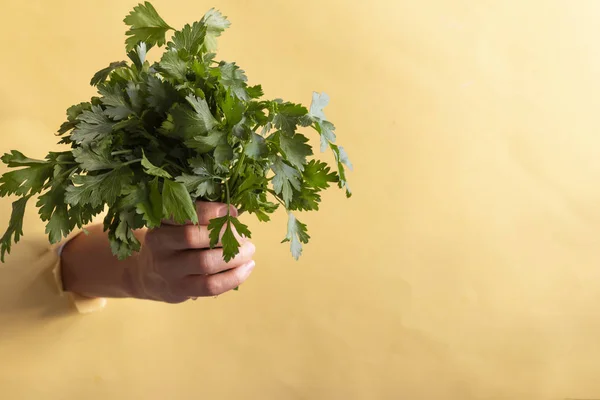 Människans Hand Håller Föremål Från Ett Skadat Papper Med Utrymme — Stockfoto