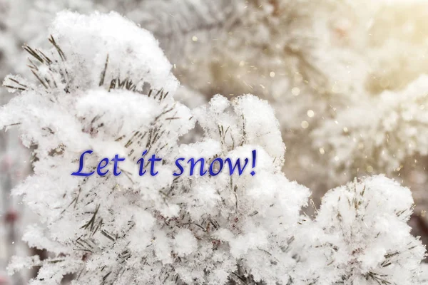 明るい雪の自然写真 カレンダー はがきのテンプレートに書かれた雪のフレーズをしましょう — ストック写真
