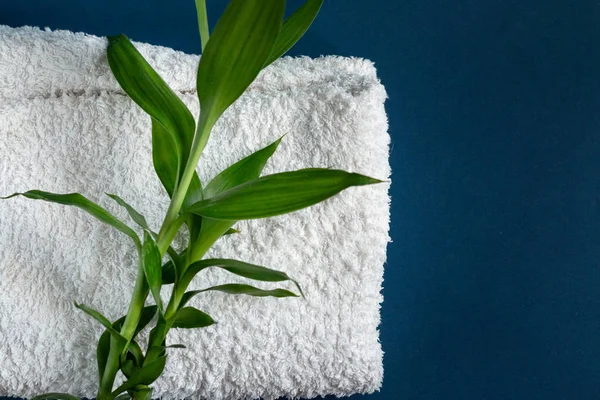 Toalla de algodón y hoja de bambú verde, fondo azul con espacio vacío para el texto —  Fotos de Stock