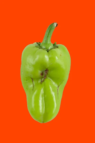 Verde pimienta fea con fondo rojo brillante, concepto de comida de moda — Foto de Stock