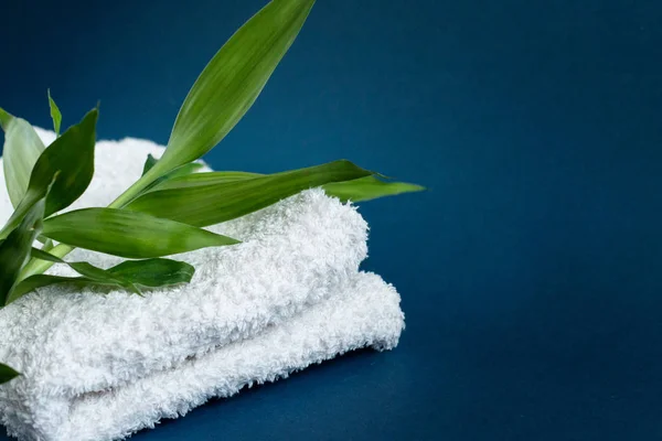 Cotton towel and green bamboo leaf, blue background with empty space for text — 스톡 사진