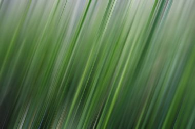 Digital motion blur effect with selective focus, abstracted background template for design, horizontal  orientation