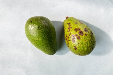 Taze ve eski avokadolar, gölgeli bir masada, doğal güneş ışığı. Organik gıda ve sıfır atık konsepti