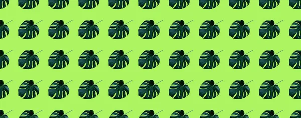 Tropiska Blad Sömlösa Mönster Grön Bakgrund — Stockfoto