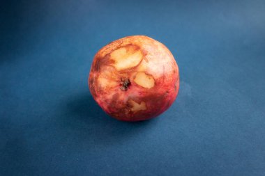 Olgun kırmızı armut, mavi armut karşısında. Sıfır atık ve organik gıda konsepti