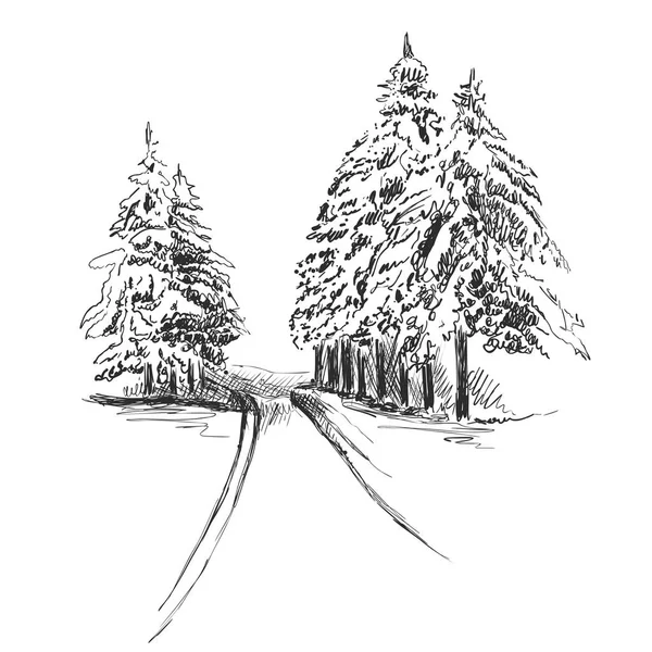 Natureza no esboço da floresta. Paisagem de inverno e árvore de Natal —  Vetores de Stock