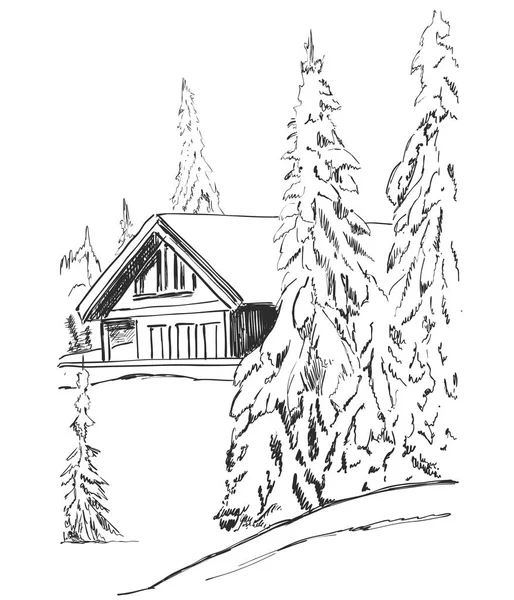 Croquis graphique vectoriel. Paysage forestier hivernal avec sapins enneigés . — Image vectorielle