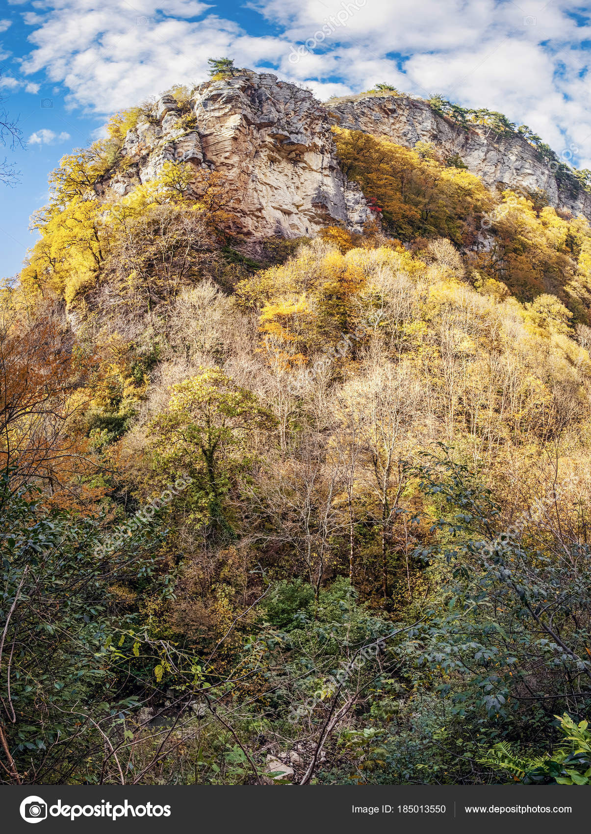 Eagle Rocks in Sochi: description, attractions, interesting facts and reviews 17 Eagle Rocks in Sochi: description, attractions, interesting facts and reviews 86