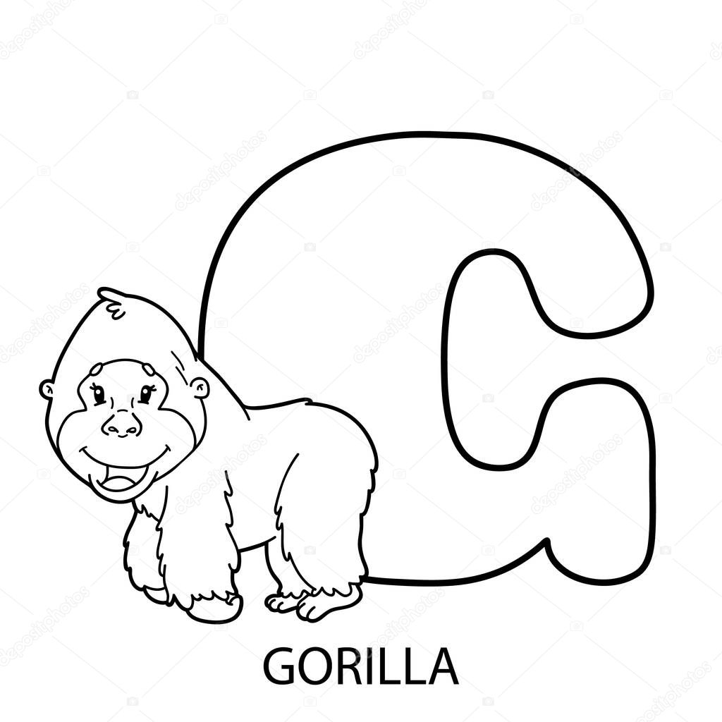 Coloriage Alphabet Animaux Illustration Vectorielle Éducatif Alphabet
