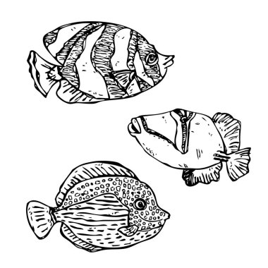 Vektör çizim set şirin elle çizilmiş balıklar