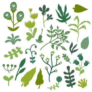 Vektör çizim set elle çizilmiş bitki ve yaprakları 