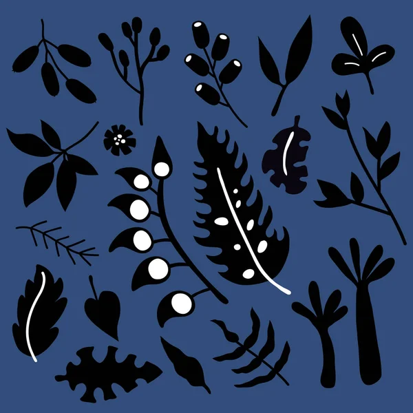 Vector Illustration Set Hand Drawn Plants Leaves Silhouettes — Stock Vector