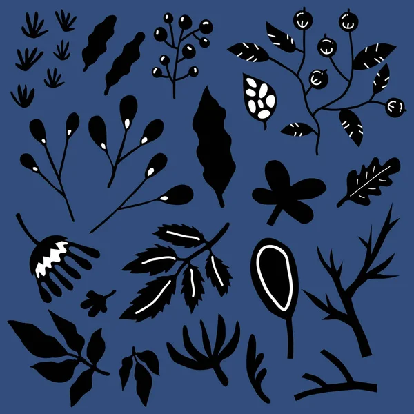 Conjunto Ilustración Vectorial Plantas Dibujadas Mano Siluetas Hojas — Vector de stock