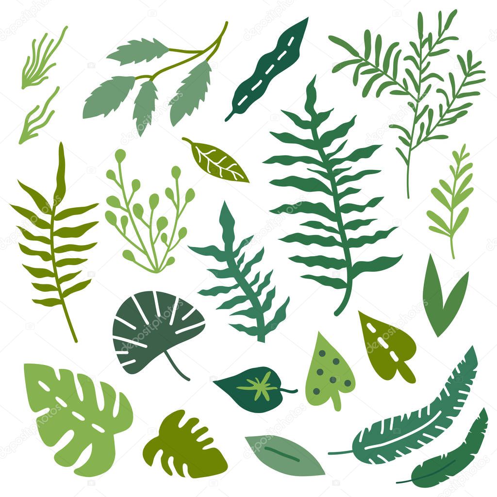 Vector illustration set of hand drawn plants and leaves 