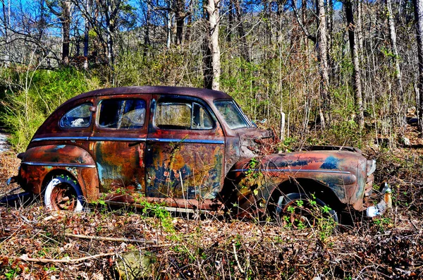 Old Timer Overgrown Forest — Stock Photo, Image