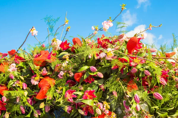 Flowers against the blue sky background. — Stock Photo, Image