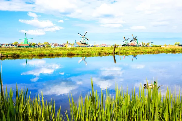 River and windmills. Reflection of the sky — Stock Photo, Image