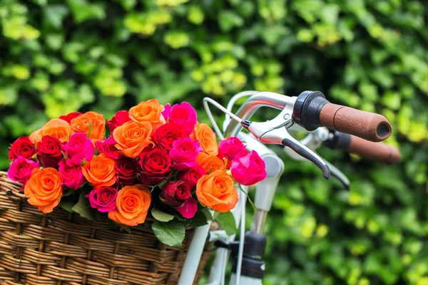 Ramo de rosas multicolores en cesta de bicicleta . — Foto de Stock