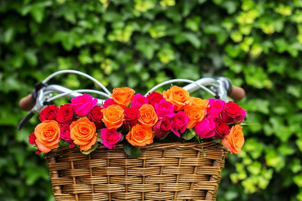 Vícebarevné růže kytice v košíku jízdního kola. — Stock fotografie