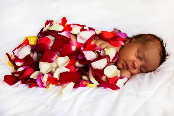 Bebé negro recién nacido duerme cubierto con pétalos de rosa . — Foto de Stock