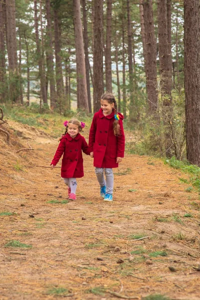 二人の少女、二人の姉妹は、松林の中歩いています。 — ストック写真