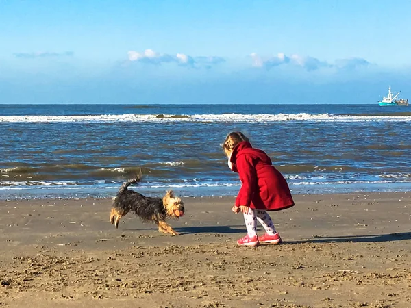 Den lilla flickan leker med hund på stranden. — Stockfoto