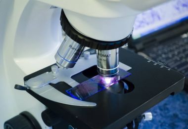 Laboratuvar mikroskop. Bilimsel araştırma laboratuvarı. Bakterilerin mikroskop altında incelenmesi.