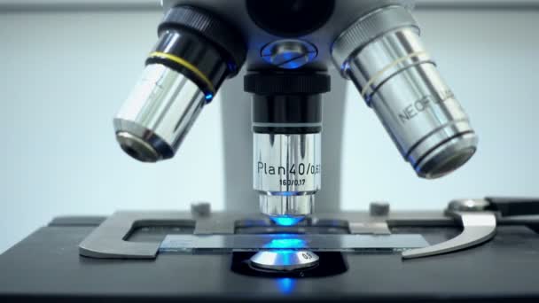 Investigación bajo el microscopio. Microscopio fluorescente. Movimiento de la diapositiva. Bacterias brillantes . — Vídeos de Stock